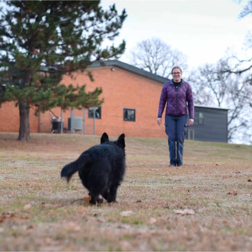 Dog training session at Trusty Dog Training Tulsa with trainer and dog outdoors.