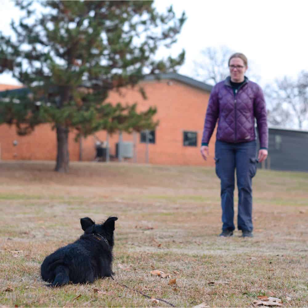 Dog training session in Tulsa with trainer and dog outdoors.