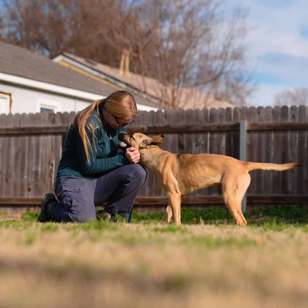 Dog training session in Tulsa with trainer and dog outdoors.