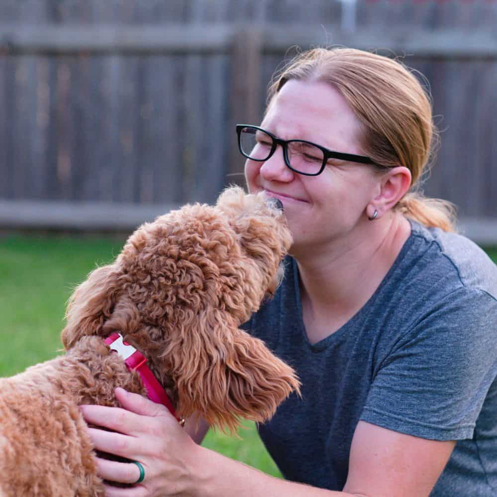 Woman training her poodle in a backyard for obedience.